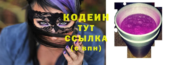 прущие грибы Каменка