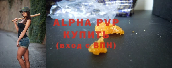 прущие грибы Каменка