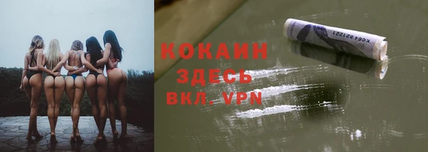 прущие грибы Каменка
