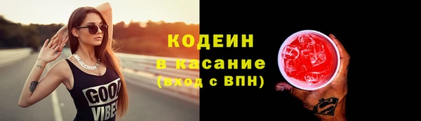 прущие грибы Каменка