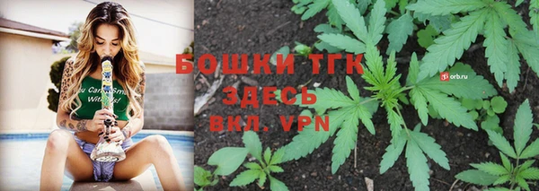 прущие грибы Каменка